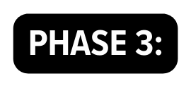 Phase 3